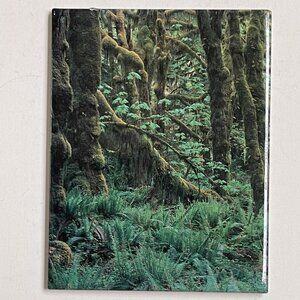 Fridge Magnet Forest 2.5 X 3 Inches Trees Woods Scenery Quinault Kirkendall